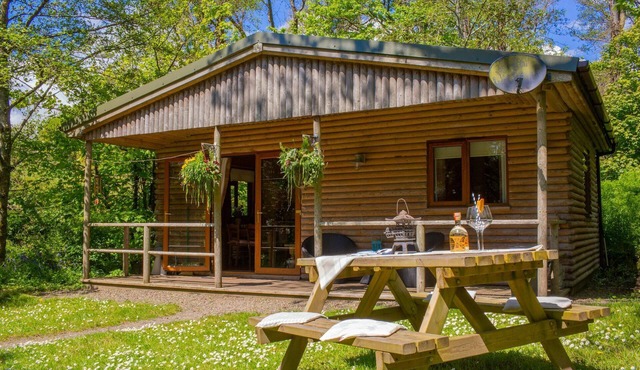 Fiddlers Green Log Cabin, Tenby
