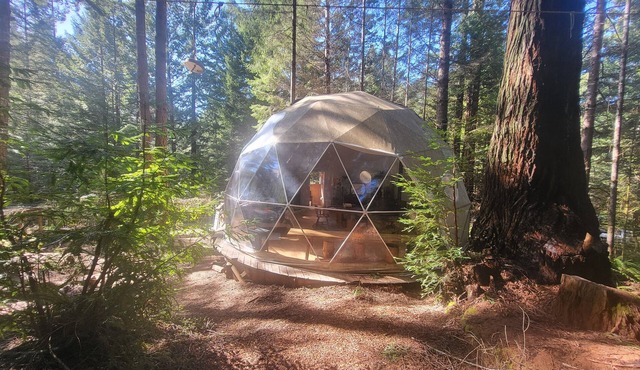 Fieldbrook Gnome Dome
