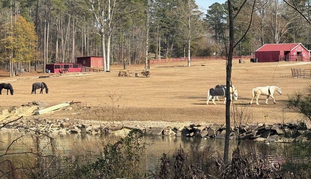 FIFA World Cup Housing with Lakeview In Atlanta Ga