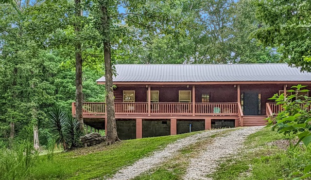 Fifty-Six Cabin ~ Privacy in the woods near the best outdoor rec areas