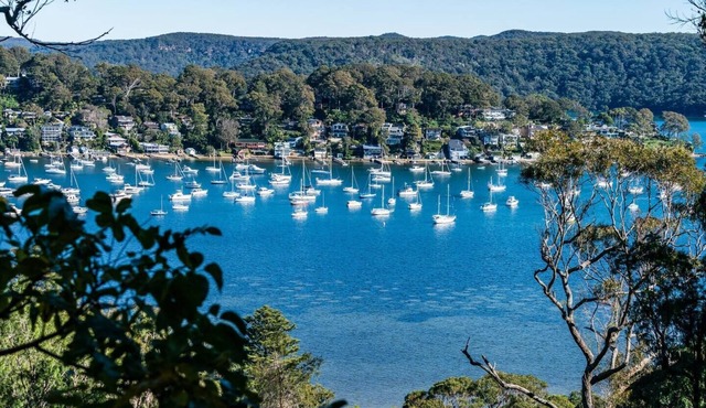 Fig Tree House A Luxe Indoor Outdoor Bay Panorama
