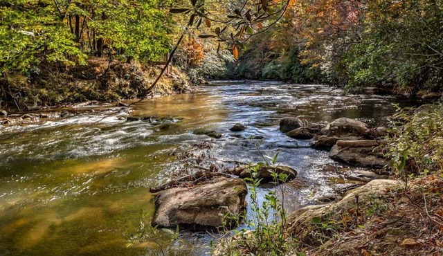Fightingtown Creek Retreat - Pet Friendly, Steps to Creek, Hot Tub