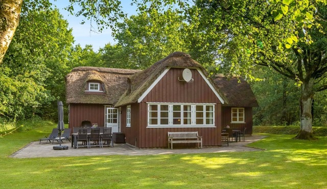 "Fina" - 15km from the sea by Interhome