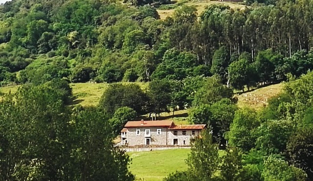 Finca Artienza