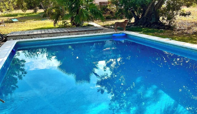 Finca close to nature in a secluded location approx. 10 km from the sea. Between olives and oranges