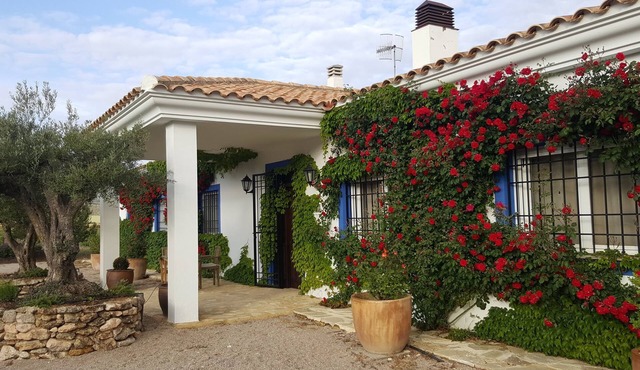 Finca El Romeral