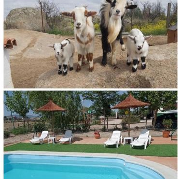 Finca - Granja " El Chaparral"