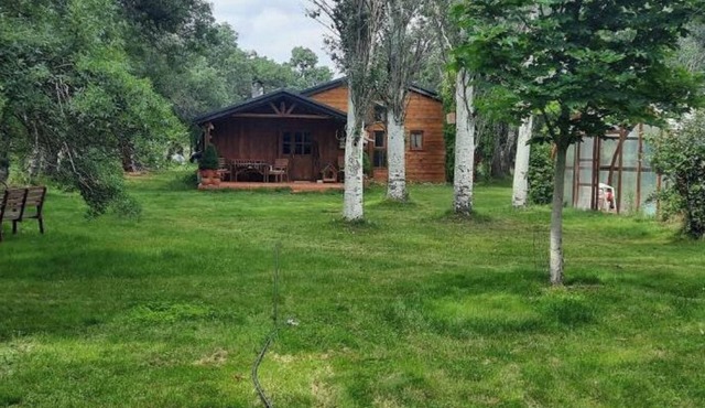Finca los Linares Vivienda de 165 m2 Dentro de una una Finca de 13.500 m2