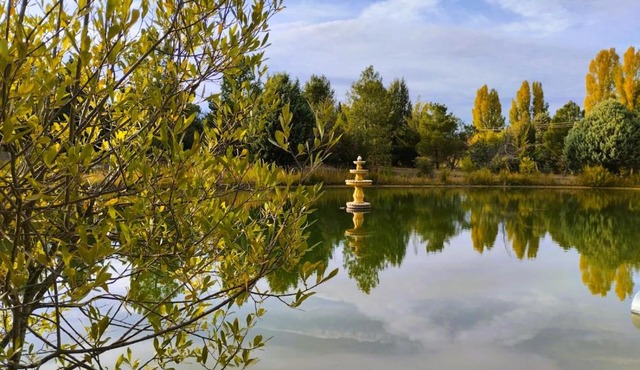 Finca Paraíso Rural