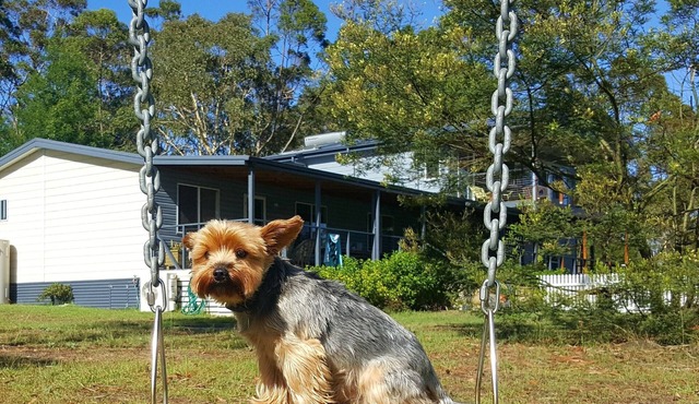 Finchley, Wandandian NSW - pets welcome