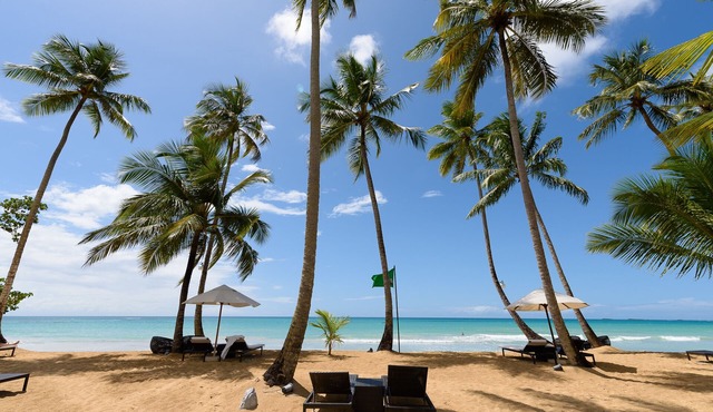 Find Bliss in a Luxury Beach Apartment with Hotel Services