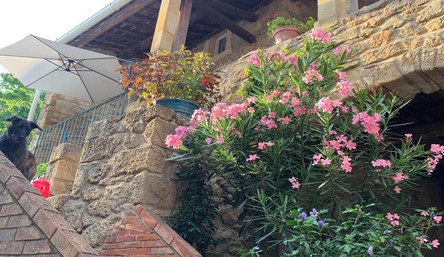Fine vacation home in mountain village; endless hiking, cycling and MTB possibilities