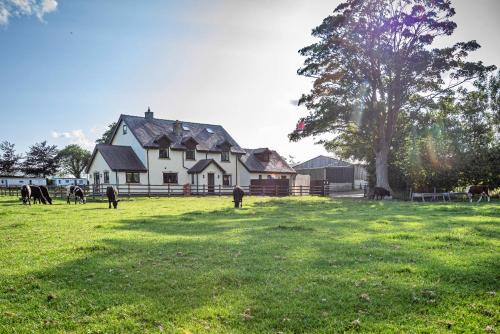 Finest Retreats - Groes Faen Bach Farmhouse