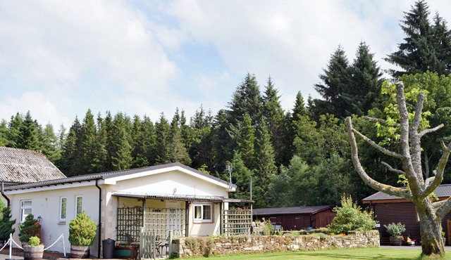 Fir Tree Cottage - UKC646