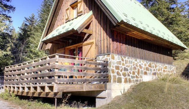 Fir tree - LA BOLLENE-VESUBIE