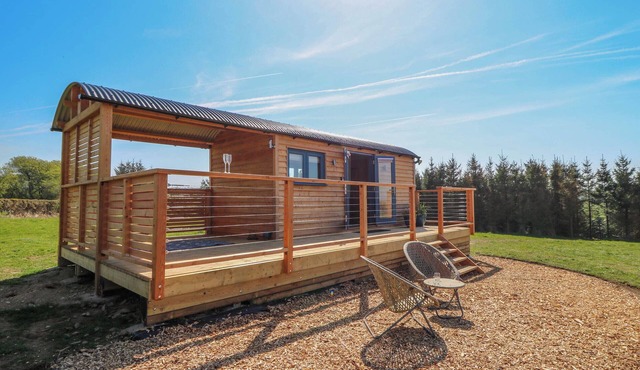 FIR TREE SHEPHERD'S HUT, romantic, with hot tub in Llanon