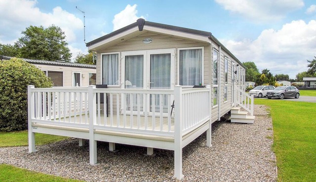 Fir Trees Executive 3