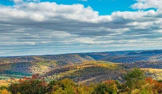 Fire Pit*1G WiFi*Stargazing Cottage Cherry Springs
