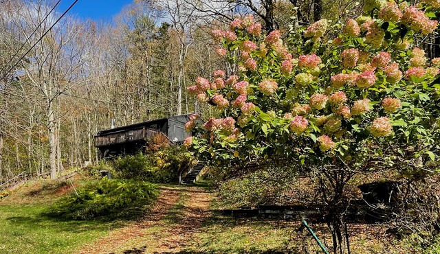 Fire place, fire pit and lovely views all season.