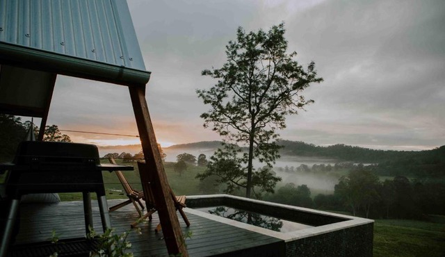 Firefly at Big Bluff