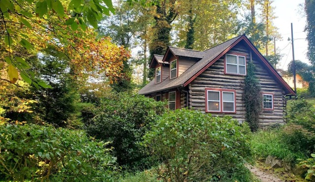 Firefly Cabin-1930`s Retreat: Bikes, BBQ, walk dtn