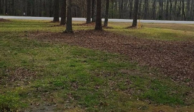 Firefly in Madison's sunroom