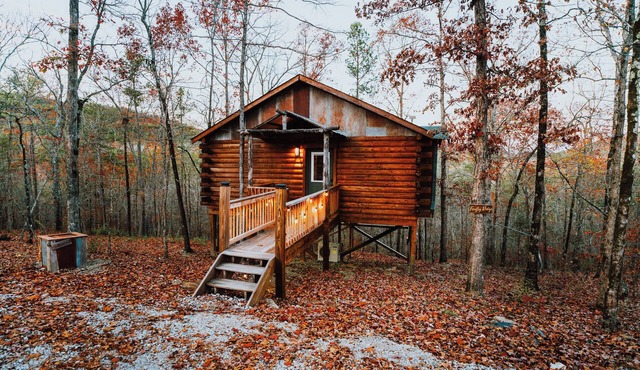 Firefly Treehouse - Starlight Haven