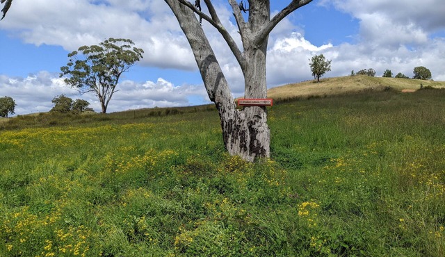 Firetail Cottage in the secluded Capertee Valley