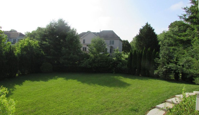 First Level of house, 2 Bed spacious, walkout door ,bright garden view