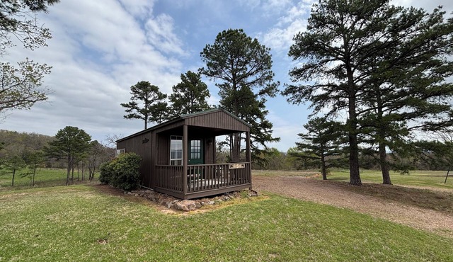 Fish Cabin at Mountain View Retreat