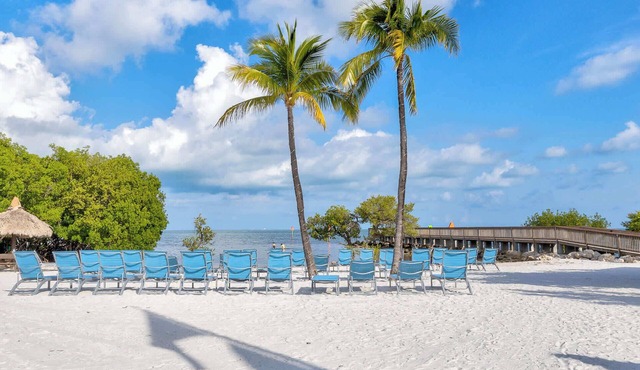 Fish, Dive, Snorkel & Unwind-Coral Reefs, Pool, Pickleball & Onsite Bar