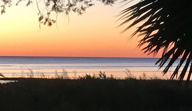 Fish Gills | Keaton Beach Vacation Rentals LLC | Florida Gulf Coast