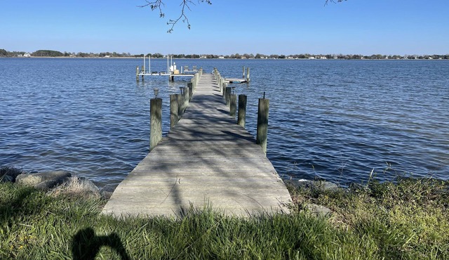 Fish to the Left of Me, Geese to the right, Stuck in the middle w/ Goats