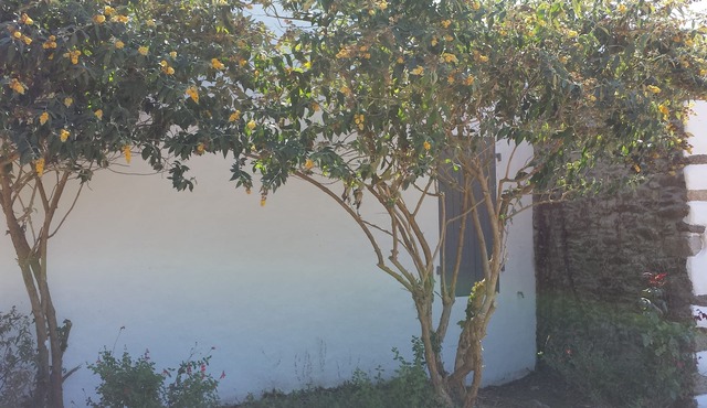 Fisherman house - -Île fir district of yeu