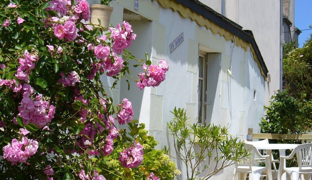 Fisherman's cottage in a small village 2.3 km from the sea