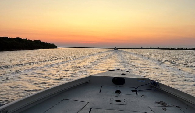 Fisherman's Dream - Birdwatcher's Delight