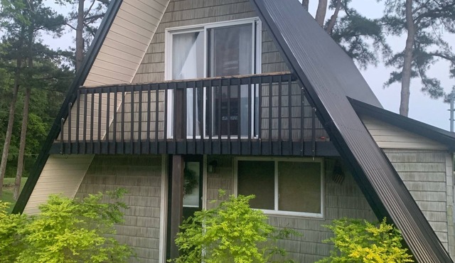 Fisherman’s Paradise 3-bedroom lake view home with WiFi, AC in Springville, TN.