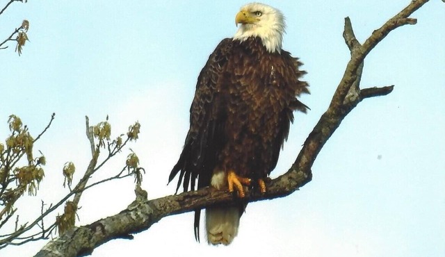 Fishermen and families wanted