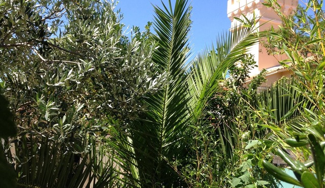 Fishermen charming house in the heart of a village in the Var 200 meters from the sea