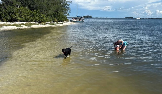Fishermen's Retreat Waterfront with Boatlift, Fish, Shrimp, Mosquito Lagoon