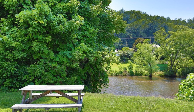 Fishing, Kayaking, Pet-friendly on the Smith River