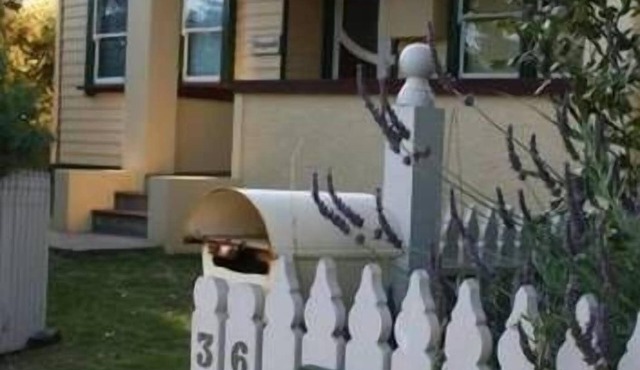 Fitzgerald Cape Paterson