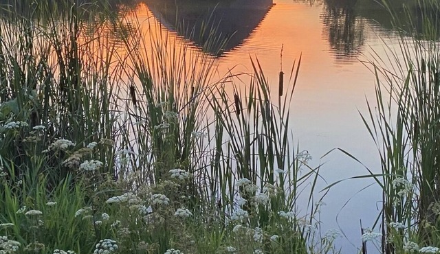 Five minute walk to middle fork Black River, 7 miles to Johnson Shut ins.