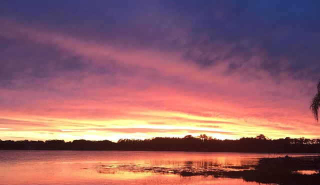 Five Star Rating Lake/WaterFront Oasis Near Tampa/Orlando & Gulf Beaches