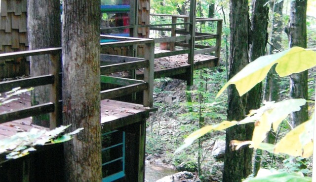 Five-star, Romantic Cozy Home Built Right Over the Waterfalls Very Pet Friendly