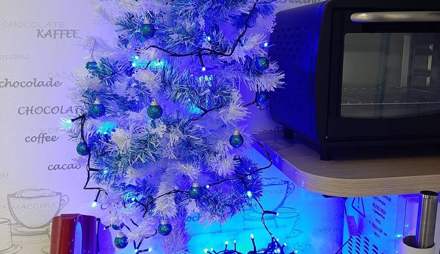 FLAB 'WINDS le Tréport