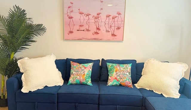 Flamingle in Palm Harbor