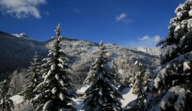 flat - 9 rooms - 14/15 persons