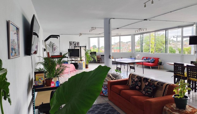 Flat Apartment in Downtown Xalapa Veracruz