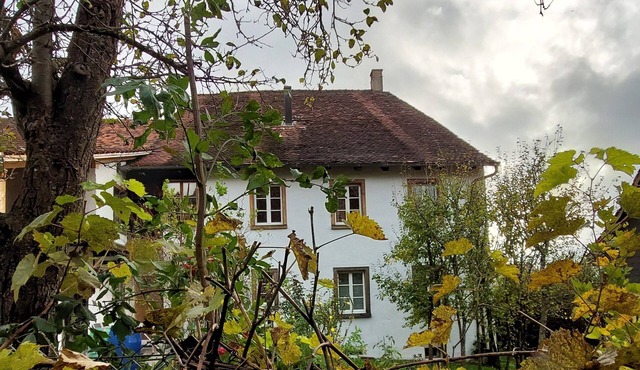 Flat "Giselas Ruheplatz"